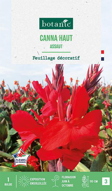 Visuel 1 du produit Bulbe de fleurs Canna Haut Assaut botanic® - 1 bulbe