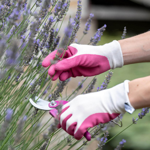 Visuel 3 du produit Gants de jardinage Bamboo Rose