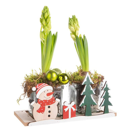 Visuel 1 du produit Composition de Noël duo jacinthes multicolore verrerie bonhomne de neige