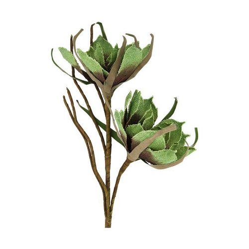 Visuel 1 du produit Branche de 2 fleurs de magnolia en jute verte - 40 x 77 cm