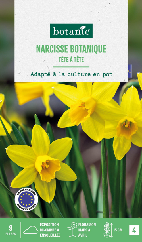 Visuel 1 du produit Narcisse botanic® - 9 bulbes