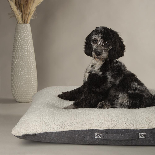 Visuel 6 du produit Couchage pour chien coloris gris coussin Scruffs Eco Eden - Taille M 80 x 60 cm