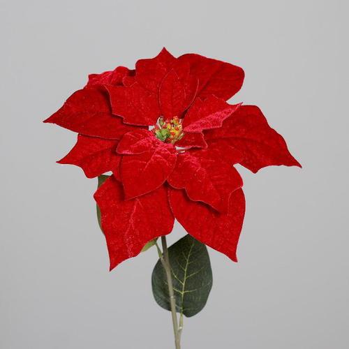 Visuel 1 du produit Tige de poinsettia en velours rouge - 56 cm