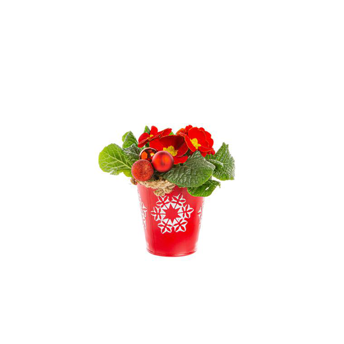 Visuel 1 du produit Primula Seau Zinc rouge