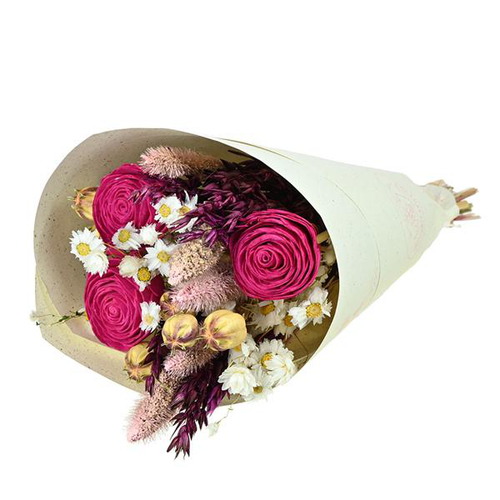 Visuel 1 du produit Bouquet de fleurs séchées Naturalys Sola S rose - 50 cm
