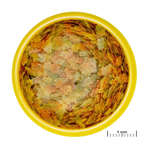 Visuel 2 du produit Alimentation spécialisée pour poissons Betta, sans gluten, JBL ProNovo - 6g/20ml