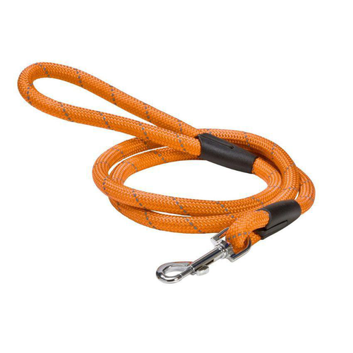 Visuel 1 du produit Laisse pour chien en nylon rond coloris orange Bobby - 1,2 m