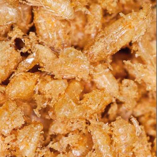 Visuel 2 du produit Nourriture pour poissons calanus 2-3mm DUPLA EEZE - contenance 180ml / 20g