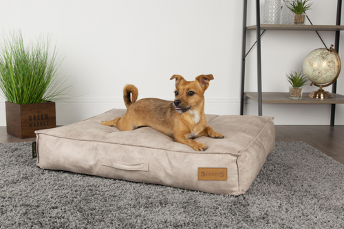 Visuel 2 du produit Coussin pour chien beige Kensington – Taille M