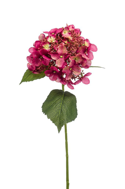 Visuel 1 du produit Tige d’Hortensia artificiel fuchsia - Ø 17 x H 50 cm