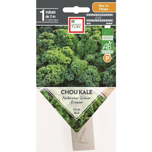 Visuel 1 du produit Graines présemées de Chou kale Halbhoher grüner krauser bio Ernest turc - 1 ruban de 2 m