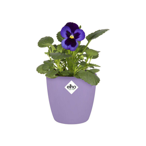 Visuel 1 du produit Cache-pot en polypropylène Elho Brussels rond mini violet - Ø 10,5 cm