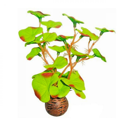 Visuel 1 du produit Plante artificielle pour aquarium lysimachia, SUPERFISH, Modèle Easy Plants
