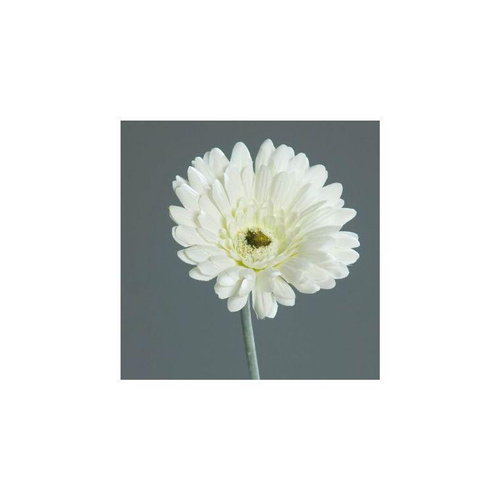 Visuel 1 du produit Gerbera artificiel