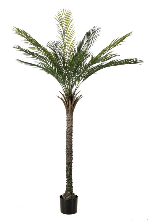 Visuel 1 du produit Palmier artificiel vert résistant aux UV à monter - Ø 80 x H 180 cm