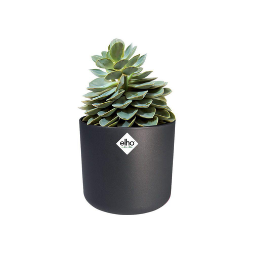 Visuel 4 du produit Cache-pot anthracite Elho b.for soft - Ø 22 cm