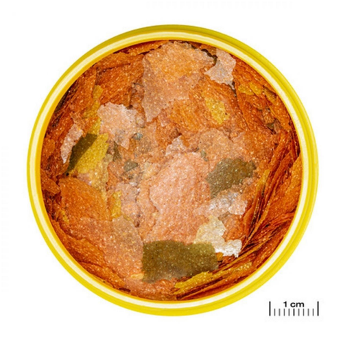 Visuel 2 du produit Alimentation poisson spécifique Tanganyika, JBL ProNovo Flakes - 250ml/45g