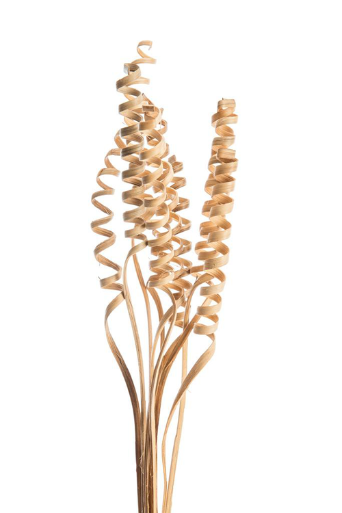 Visuel 2 du produit Lot de 10 cannes naturelles torsadées artificielles coloris beige - 50 à 65 cm
