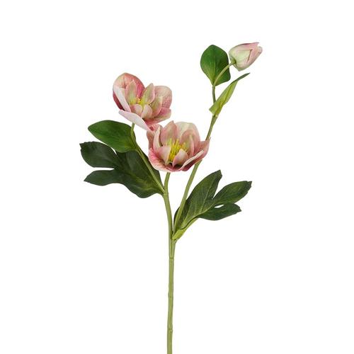 Visuel 1 du produit Tige artificielle d’Hellébore rose - 55 cm