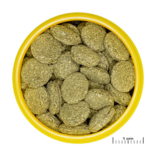 Visuel 4 du produit Aliment en comprimés JBL Pronovo Pleco wafer M – 100 ml