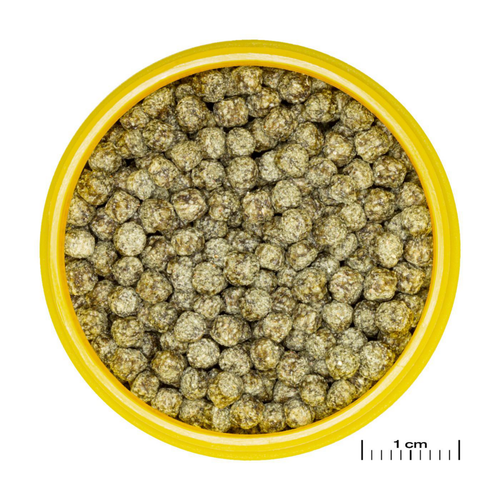 Visuel 3 du produit Aliment en granules pour poisons rouges JBL Pronovo red grano M – 100 ml