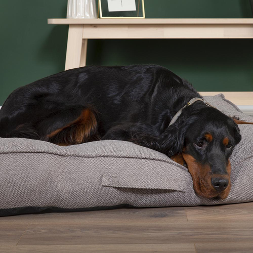 Visuel 5 du produit Couchage pour chien coloris gris coussin Scruffs Seattle - Taille L 100 x 70 x 14 cm