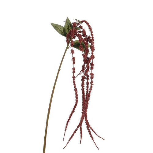 Visuel 1 du produit Branche artificielle d’Amaranthus bordeaux - H 65 cm