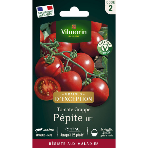 Visuel 1 du produit Sachet de semences potagères graines de tomate Pépite HF1 à grappe