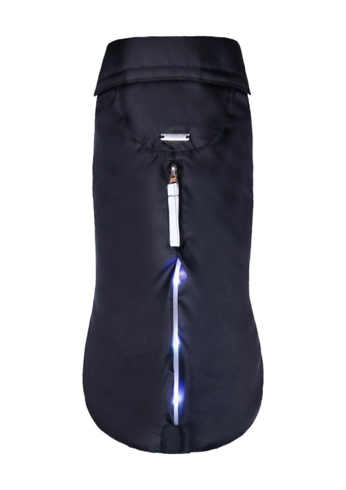 Visuel 1 du produit Manteau imperméable pour chien coloris noir Wouapy LED - Taille 32