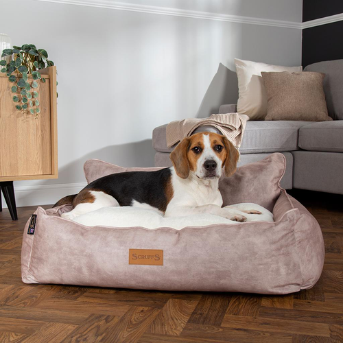Visuel 10 du produit Corbeille pour chien beige Kensington Scruffs – Taille M
