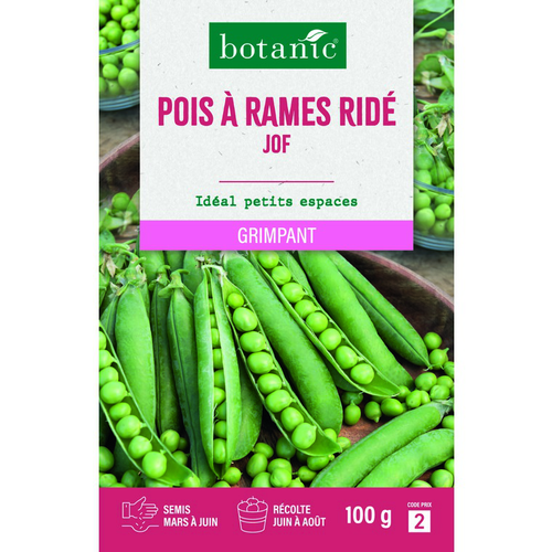 Visuel 1 du produit Graines de pois ridé à rames jof botanic® - graines ridé semer