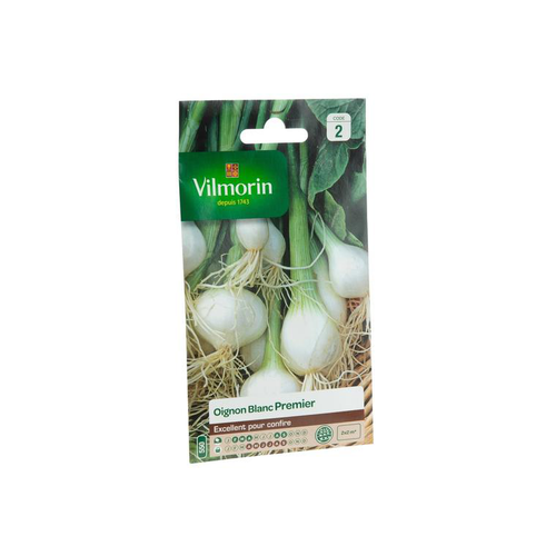Visuel 1 du produit Graines d’Oignon blanc Vilmorin - graines à semer