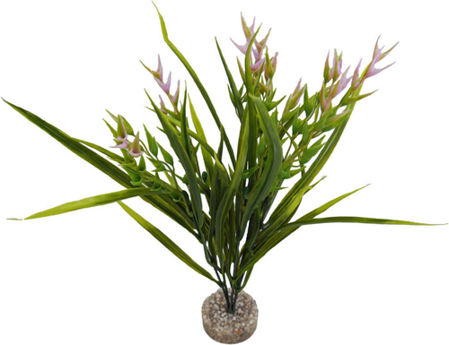 Visuel 1 du produit Plante artificielle pour aquarium coloris vert et rose LABEO Tillandsia GM