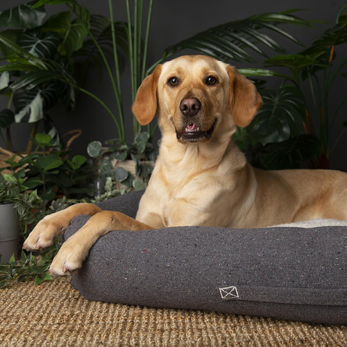 Visuel 3 du produit Couchage pour chien coloris gris corbeille Scruffs Eco Eden - Taille L 75 x 60 cm