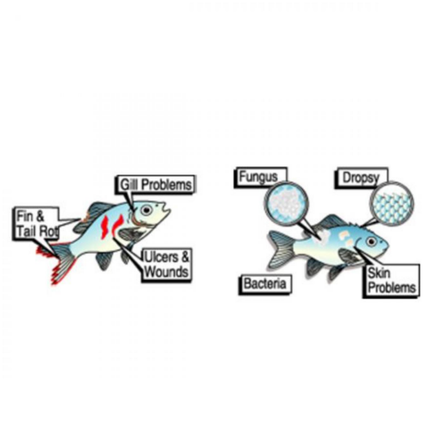 Visuel 2 du produit Traitement à large spectre, 20ml - ESHA - modèle 2000