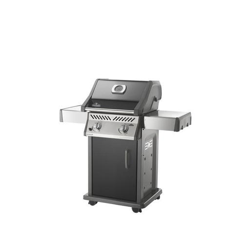 Visuel 1 du produit Barbecue Rogue 365