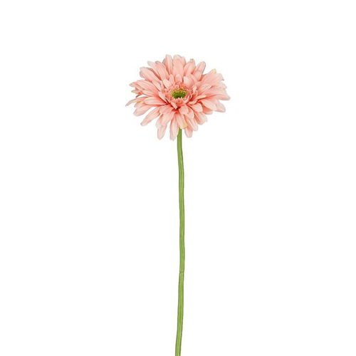 Visuel 1 du produit Tige de gerbera artificiel en plastique recyclé rose - 60 cm