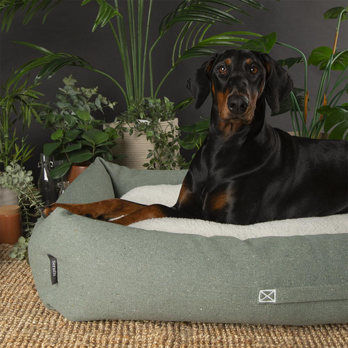 Visuel 4 du produit Couchage pour chien coloris vert corbeille Scruffs Eco Eden - Taille XL 90 x 70 cm