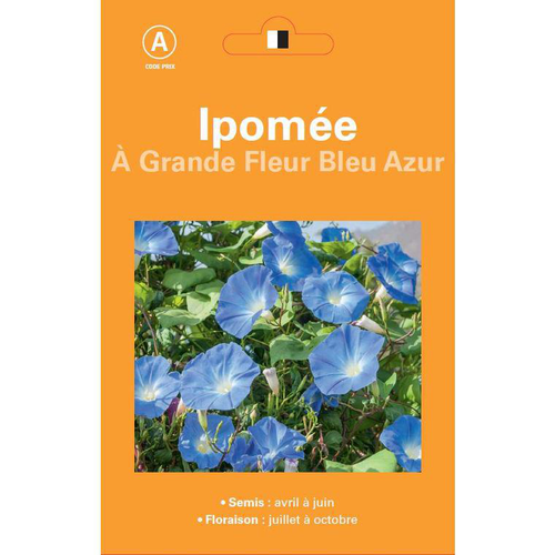 Visuel 1 du produit Graines de Ipomée à grande fleur bleu Azur - graines à semer