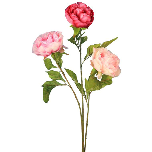 Visuel 1 du produit Tige de Pivoine artificielle rose – 80 cm Riviera
