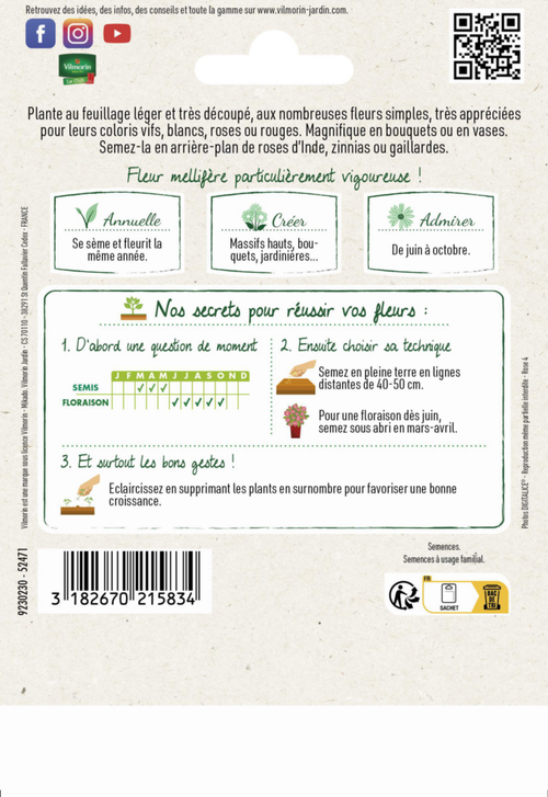 Visuel 2 du produit Cosmos Sensation variée Grand jardin Format maxi Vilmorin - graines à semer