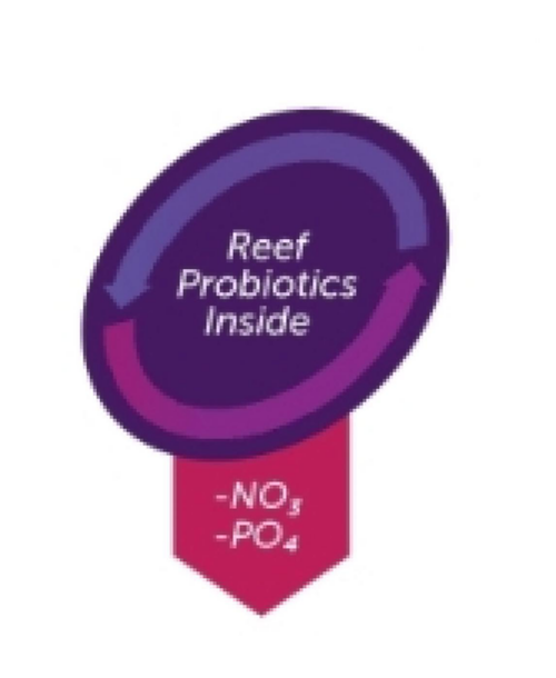 Visuel 3 du produit Supplément nitrate et phosphate - 250ml, AQUAFOREST NitraPhos Minus