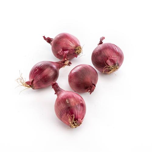 Visuel 1 du produit Oignon rouge bio - Prix au kg