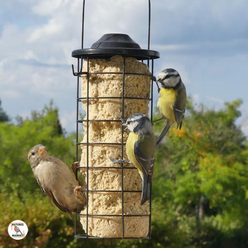 Visuel 2 du produit Cylindre de graisse pour oiseaux aux insectes
