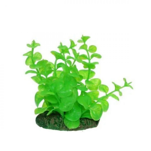 Visuel 1 du produit Plante artificielle pour aquarium lysimachia AQUA NOVA - hauteur 10 cm