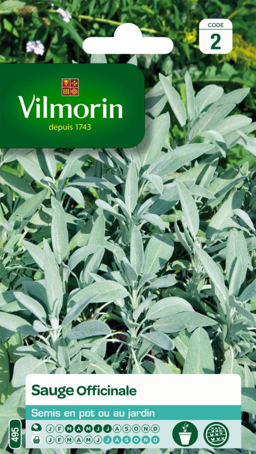 Visuel 1 du produit Sauge Officinale Vilmorin - graines à semer