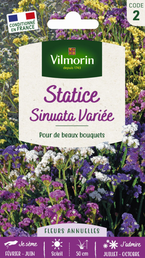 Visuel 1 du produit Graines de Statice Sinuata variée Vilmorin - graines à semer