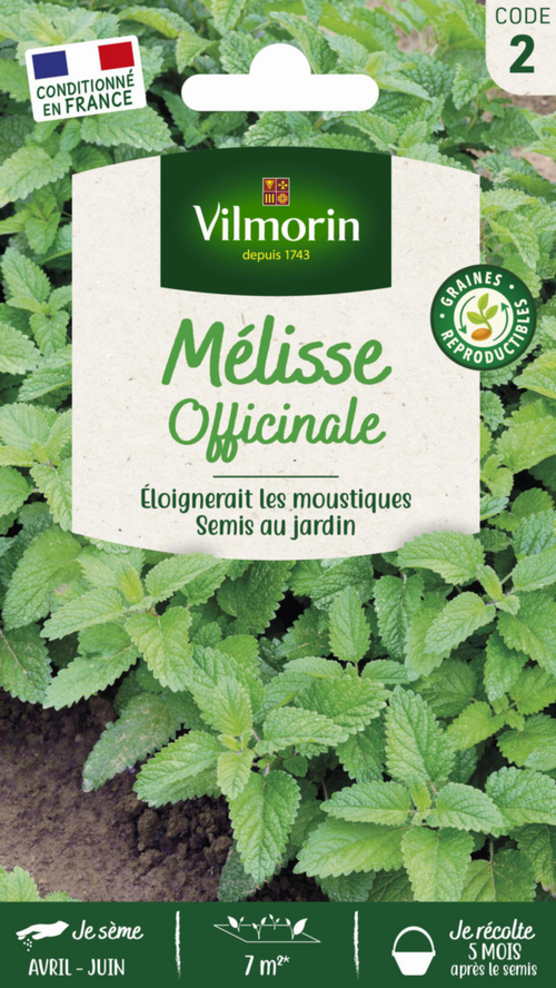 Visuel 1 du produit Mélisse officinale Vilmorin - graines à semer