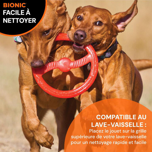 Visuel 2 du produit Jouet pour chien en caoutchouc coloris orange anneau Bionic Toss-N-Tug