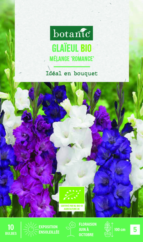 Visuel 1 du produit Bulbes de fleurs Glaïeul grandes fleurs Romance en mélange bio botanic® - 10 bulbes